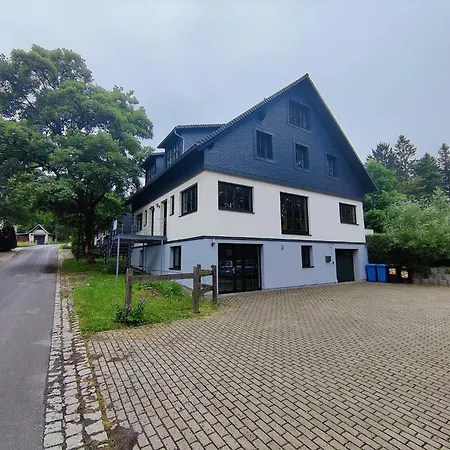Spacious With Wood-burning Stove, Cleaning Included Holiday home Eisfeld