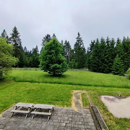Holiday home Spacious With Wood-burning Stove, Cleaning Included Eisfeld
