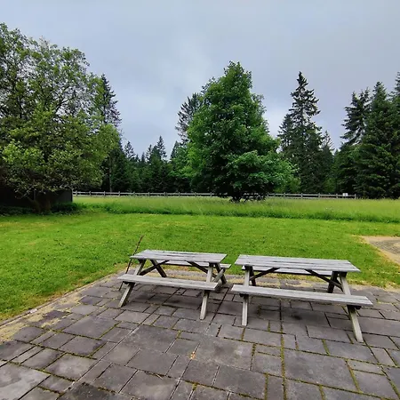 Spacious With Wood-burning Stove, Cleaning Included Eisfeld