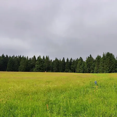 Spacious With Wood-burning Stove, Cleaning Included * Eisfeld