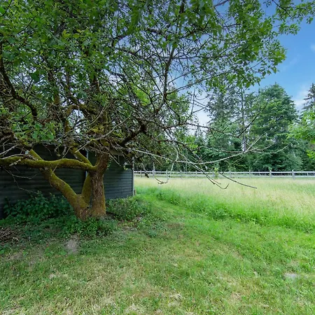 Holiday home Spacious With Wood-burning Stove, Cleaning Included